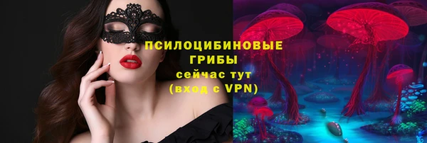 дурь Киреевск