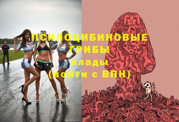 а пвп мука Карпинск